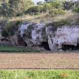 Proseguiamo per circa 200 metri, superando un grande campo coltivato in cui figurano anche numerose grotte scavate nella roccia...